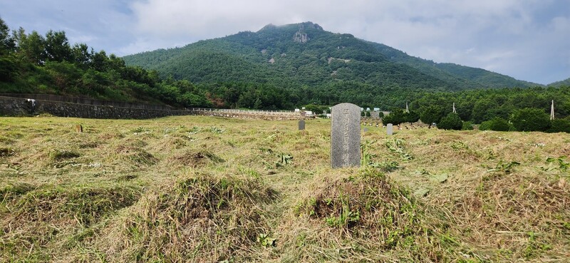 전남 장흥군 장흥읍 공설묘지에 있는 동학농민군 무연고자 묘지. 김용희 기자