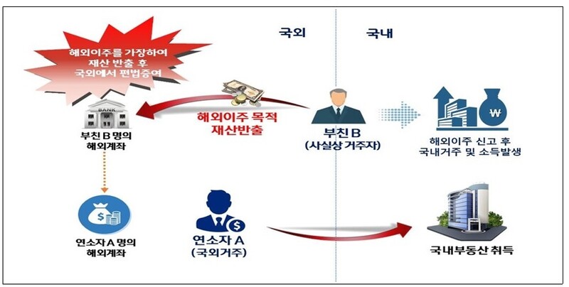 해외 이주를 가장한 국외 편법 증여 구조도. 국세청 제공