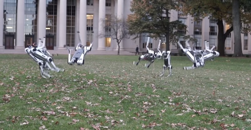 단체로 뒤로 공중제비돌기를 하고 있는 ‘미니 치타’ 로봇들. 유튜브 갈무리