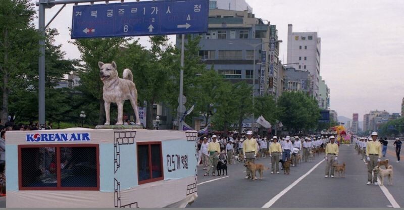 88서울올림픽 당시 개막식에서는 진돗개 퍼레이드를 벌이기도 했다. 국가기록원 제공