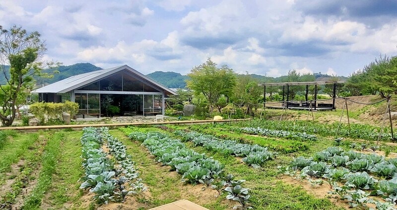 뭐하농의 심장 공간인 팜가든. 동반 식물을 생태적으로 경작하는 생산공원이다. 뭐하농 제공