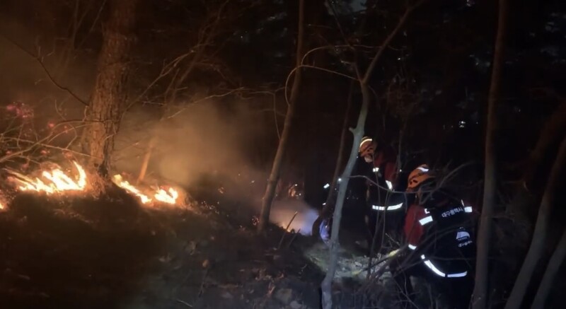 지난 4일 오후 6시5분께 대구 남구 대명동 산306번지 앞산(대덕산)에서 원인을 알 수 없는 불이나 당국이 진화에 나섰다. 대구시 제공