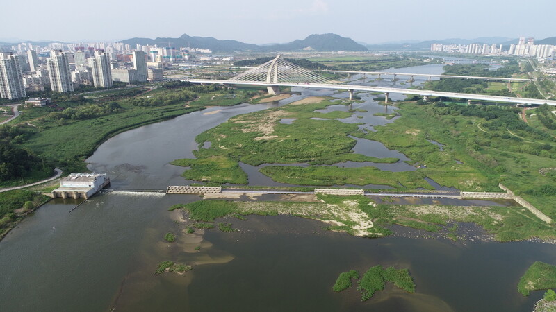 세종보 개방 이후 보 주변 모습. 환경부 제공