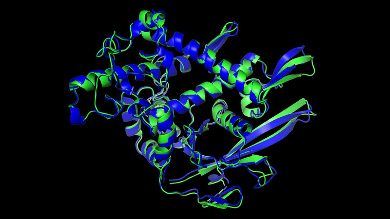 실제 단백질 구조(파란색)와 구글 인공지능이 만든 단백질 구조. 거의 흡사하다. 사이언스