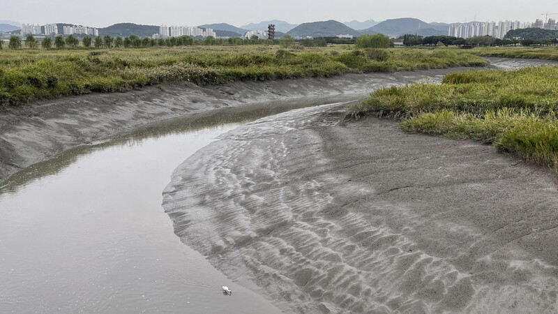 바다가 대지에 말을 걸고 대지가 바다에 귀 기울이는 땅, 경기도 시흥 갯골. 사진 배정한