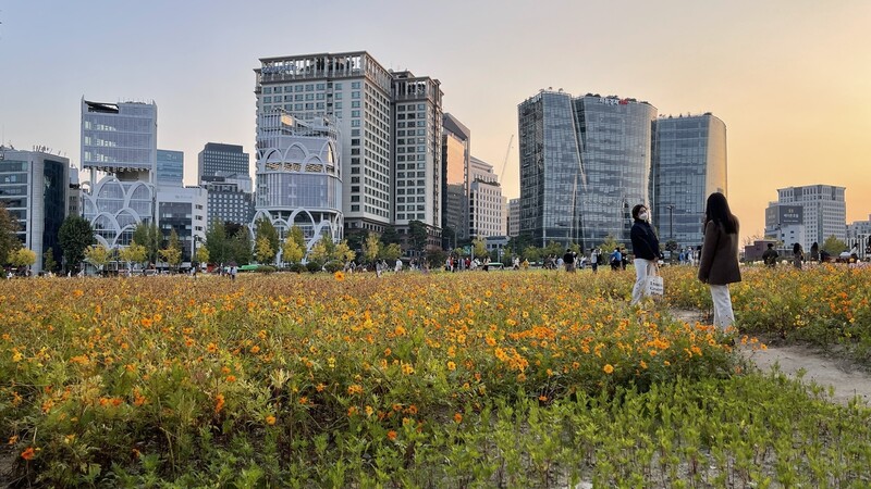 여백이 도시를 살린다. 사진 배정한