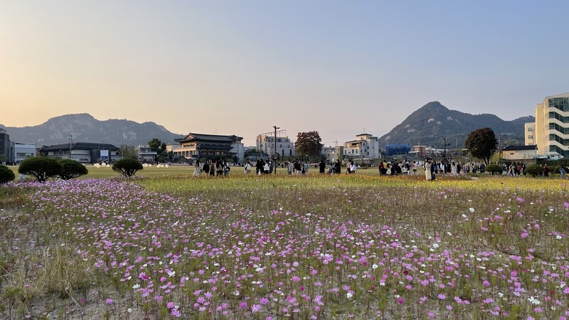 유려한 인왕산과 장엄한 북악산이 파노라마로 펼쳐지며 도시를 향해 달려든다. 사진 배정한