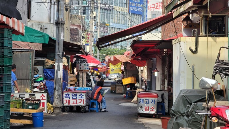 대구시 북구 칠성시장 개시장 골목에 ‘개고기’, ‘흑염소’ 등 간판들이 보인다. 김규현 기자 gyuhyun@hani.co.kr