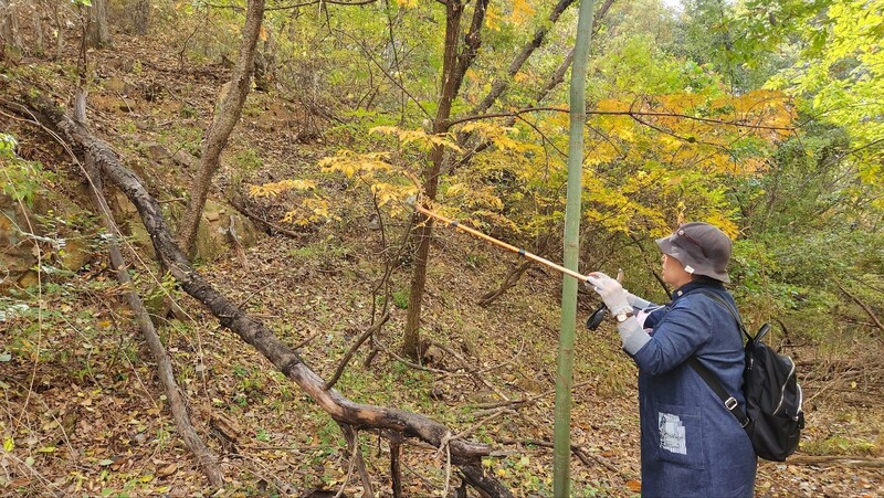 지난달 31일 찾은 대구시 달성군 가창면 상원리 산 90-1번지에서 채영희 10월항쟁유족회장이 유해 매장 추정지인 계곡 흔적을 가리키고 있다. 김규현 기자