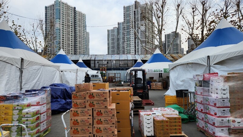 30일 아침 대구시 북구 대구농수산물도매시장 몽골텐트 사이에 쌓아둔 물건 뒤로 불에 탄 농산에이(A)동이 보인다. 김규현 기자