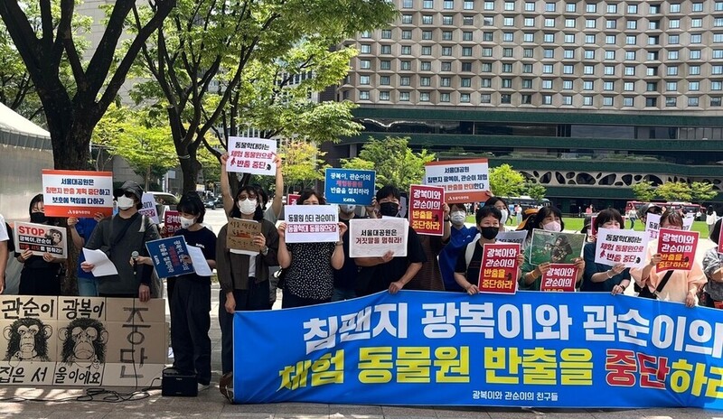 지난 6월14일 동물단체와 ‘침팬지 광복 관순이를 사랑하는 시민들’이 서울시청 앞에서 서울대공원 침팬지 광복·관순이의 체험 동물원 반출 중단을 촉구하는 집회를 벌이고 있다. 어웨어 제공