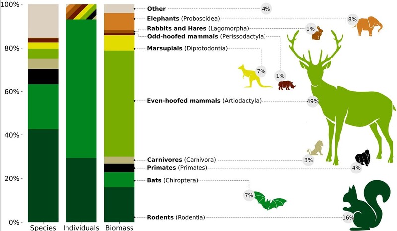 오늘날 야생 육상 포유류의 생물량은 2천만톤 안팎이라는 분석 결과가 나왔다. 범주에 따라 종 수와 개체 수, 생물량에서 차지하는 비율을 보여주는 그래프(왼쪽)와 해당 범주 대표 동물의 크기로 생물량에서 차지하는 비율을 보여주는 그림이다(오른쪽). 이에 따르면 사슴, 들소 등 발굽이 짝수인 우제류가 절반을 차지하고 육식동물은 3%에 불과하다. &lt;미국국립과학원회보&gt; 제공