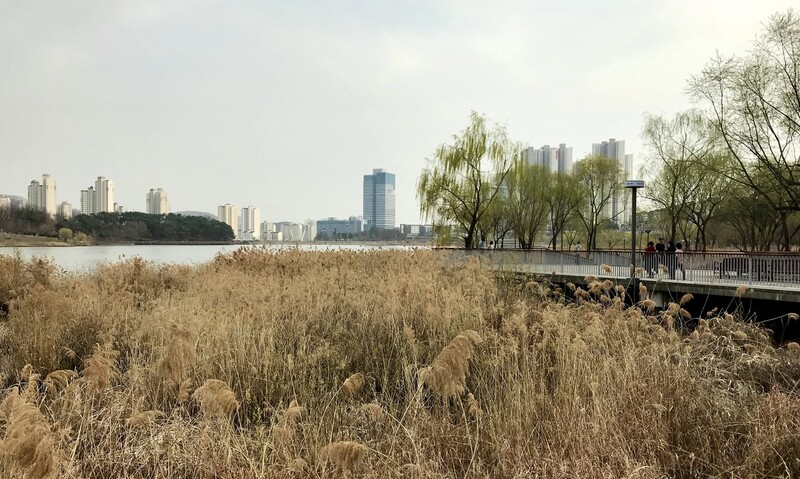 옛 유원지의 추억이 신도시 풍경 한가운데 포개진다. 광교호수공원. 사진 배정한