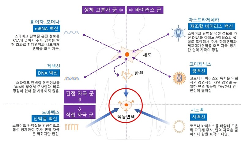 그림2.  다양한 백신 플랫폼(바이러스의 시간, 2021, 뿌리와이파리)