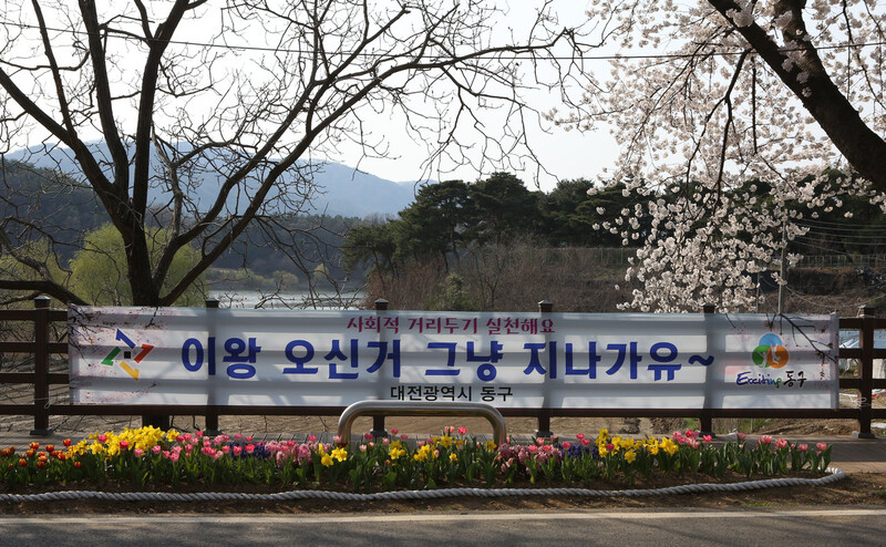 ‘오동선 대청호 벚꽃길’에 걸린 현수막. 김선식 기자