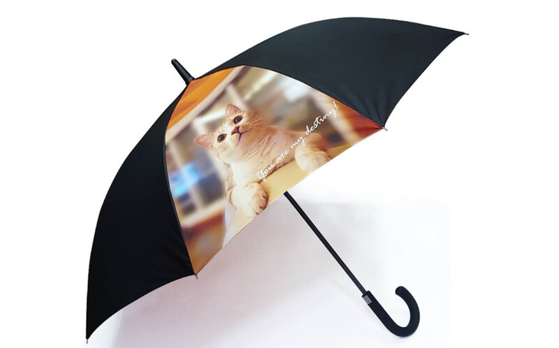 고양이 사진을 프린트한 개인 주문제작 우산. 사진 우블리 아트 제공