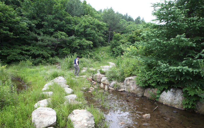 ‘청옥산 명품 숲길’ 고산 습지. 김선식 기자