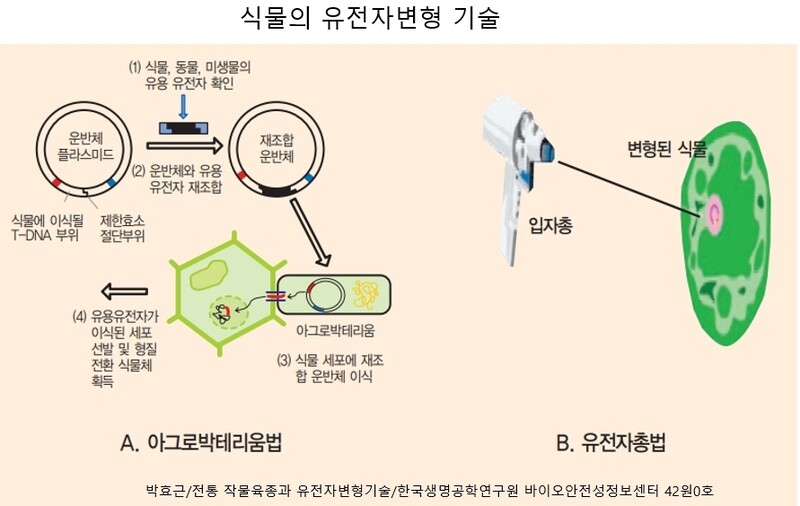  ※ 이미지를 누르면 크게 볼 수 있습니다.