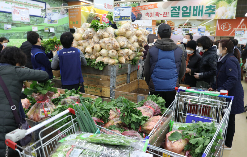 지난달 27일 서초구 하나로마트 양재점에서 시민들이 김장용 무를 사고 있다. 연합뉴스