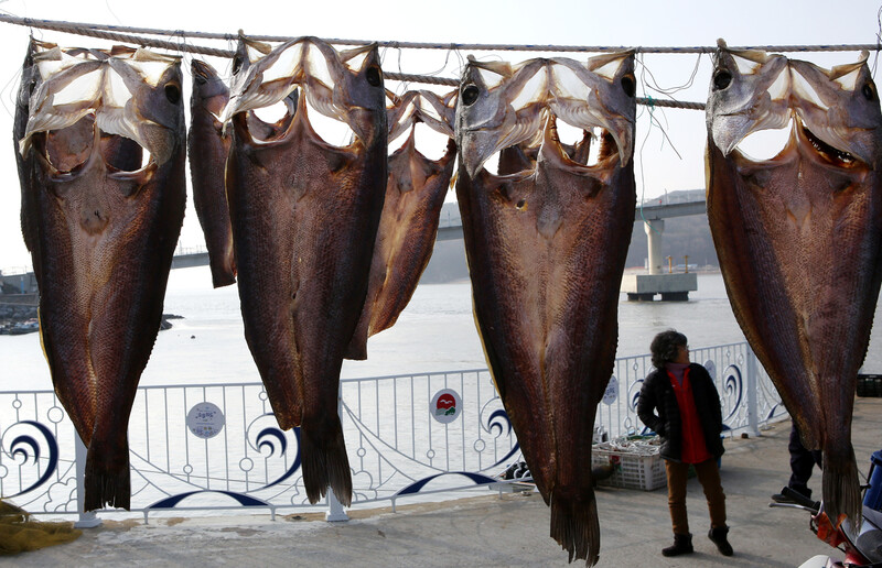 소무의도 떼무리 선착장 주변 빨랫줄에 널어 놓은 생선. 김선식 기자