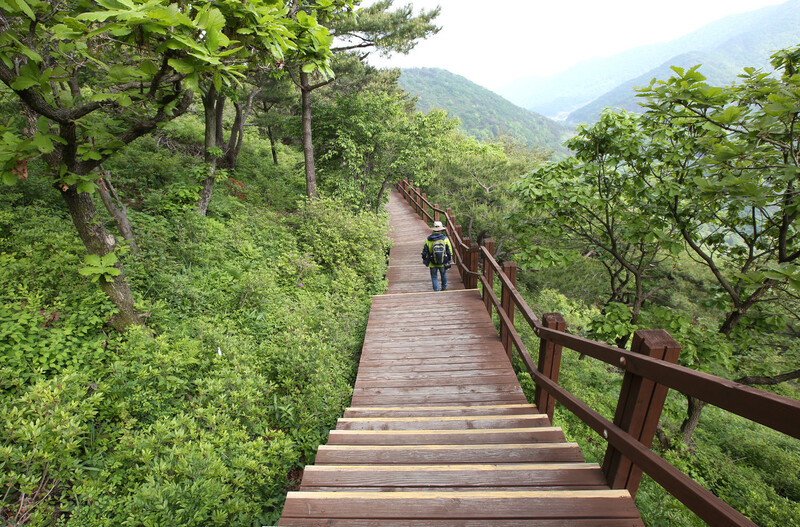 한우산 ‘홍의송원’. 김선식 기자