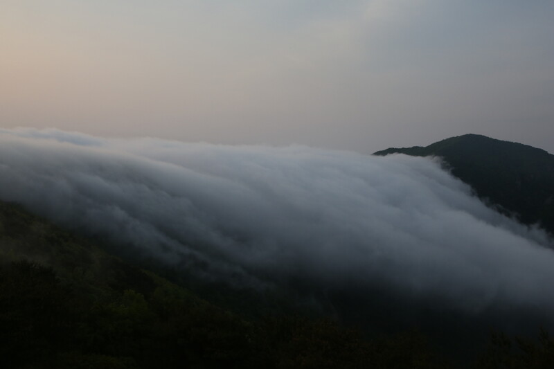 새벽녘 한우산에 깔린 운무. 김선식 기자