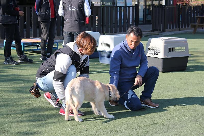 이찬종 소장은 개는 개마다 성향을 파악하고 그에 맞는 훈련을 해야 한다고 강조했다. 사진 이삭애견훈련소 제공