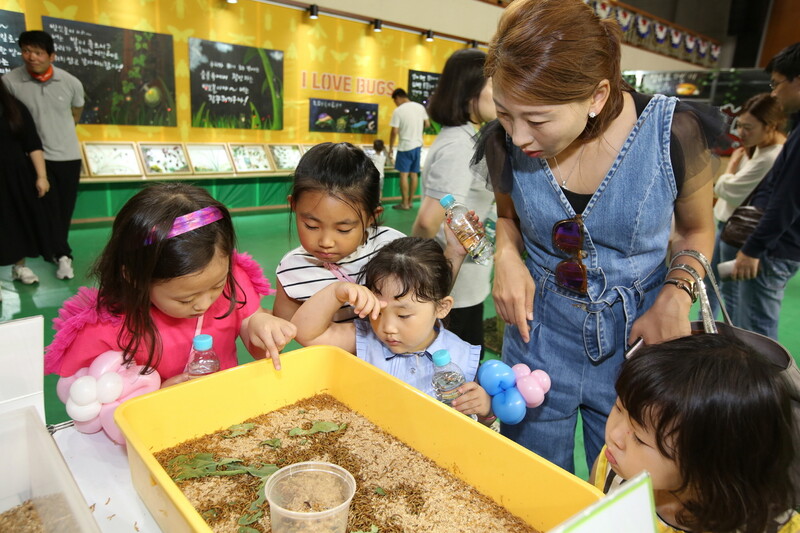 2019년 8월 열린 무주 반딧불축제의 곤충체험관에서 어린이들이 체험을 하고 있다. 무주군 제공