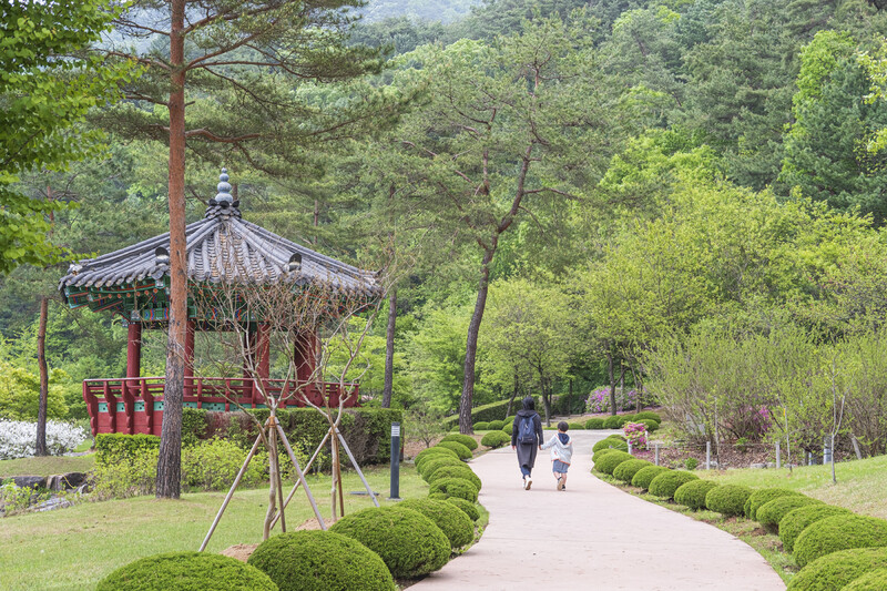 강원 홍천 공작산 생태숲과 산소길을 걷기 좋은 여행지다. 최갑수 제공