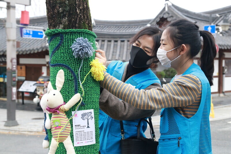 자원봉사자들이 전주한옥마을 가로수에 나무 옷을 입히고 있다. &lt;한겨레&gt; 자료