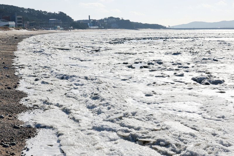 올겨울 최강 한파가 절정에 이른 지난 22일 인천 중구 마시안해변 앞바다가 꽁꽁 얼어 붙어있다. 연합뉴스