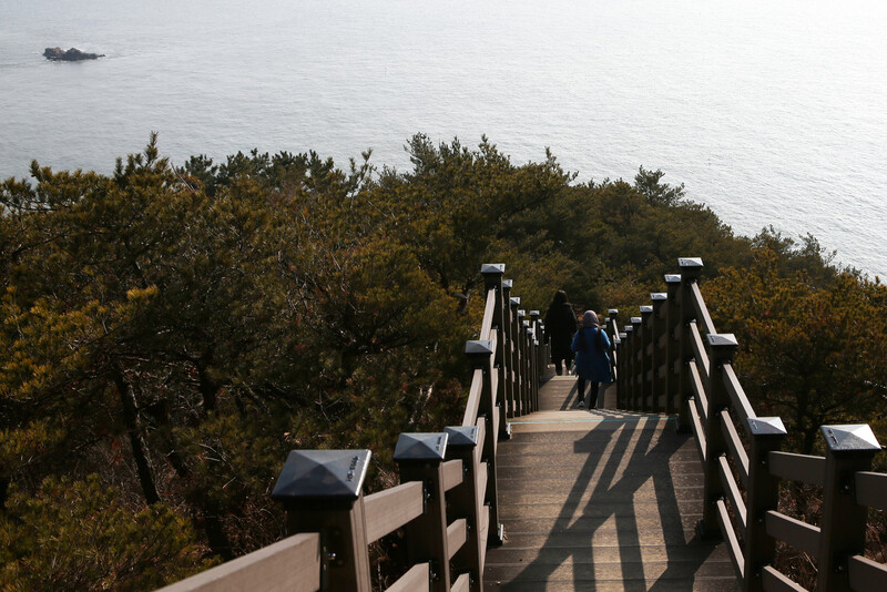소무의도 안산 정상에서 해변으로 내려가는 계단. 김선식 기자