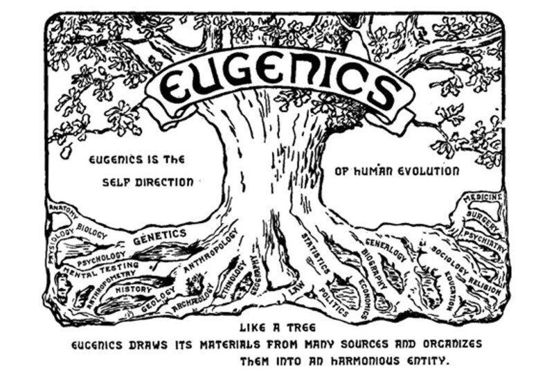 1921년 미국 뉴욕에 열린 제2회 국제 우생학 학술대회의 포스터 그림. “우생학은 인간 진화의 자기 방향이다”라는 표어가 보인다. 위키미디어 코먼스