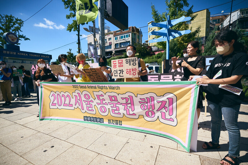 동물해방물결과 비건클럽이 8월27일 낮 서울 용산 이태원에서 ‘2022 서울 동물권 행진’을 개최했다. 동물해방물결 제공