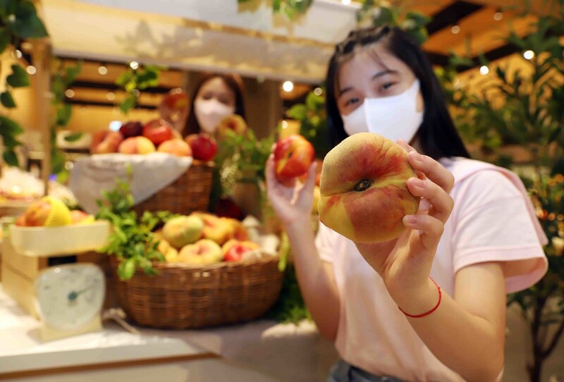 신세계백화점은 에스엔에스에서 화제를 모으고 있는 ‘납작 복숭아’ 등 제철 복숭아를 이달 말까지 전국 13개 점포에서 판매한다. 신세계백화점 제공