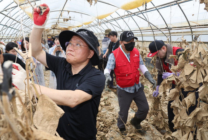 윤재옥 국민의힘 원내대표가 24일 충북 청주 흥덕구 오송읍 수해 농가 비닐하우스에서 복구작업을 돕고 있다.