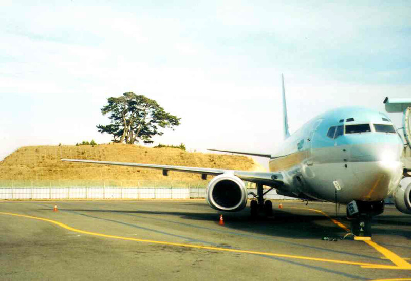 포항공항. &lt;한겨레&gt; 자료사진