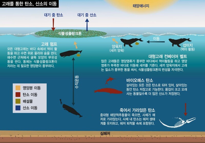 그래픽_GRID-Arendal, &lt;한겨레&gt; 소셜미디어팀