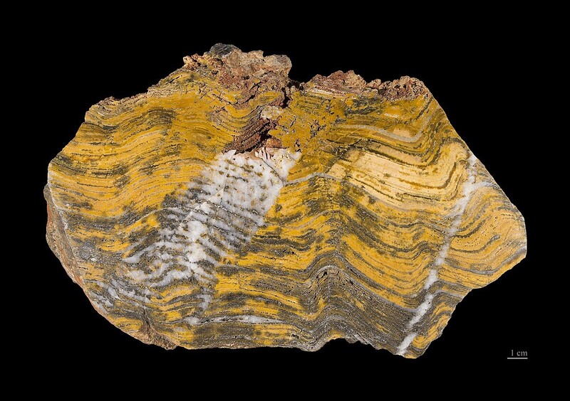 34억년 전 남세균 등의 미생물에 의해 만들어졌을 것으로 추정되는 오스트레일리아의 스트로마톨라이트 암석층. 지구 생명의 역사는 최소 35억년 전 이전에 시작된 것으로 추정된다. 위키미디어 코먼스