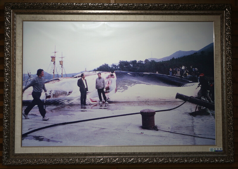 흑산도 ‘고래 공원’이 있는 자리에선 1960년대 후반까지 고래 파시(어판장)가 열렸다고 전해진다. ‘자산 문화 도서관’에 걸려 있는 ‘고래 사진’ 액자. 김선식 기자