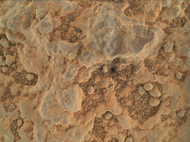 왓슨이 근접 촬영한 화성의 암석 표면.