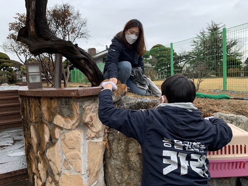 활동가들이 목덜미를 잡자 돌이는 저항했다. 하지만 곧 힘없이 이동장으로 들어갔다.