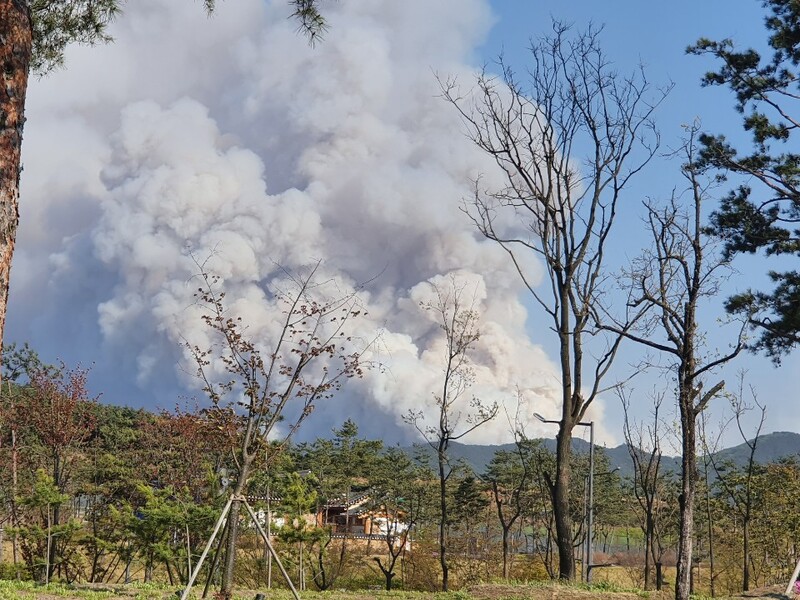 지난 24일 오후 경북 안동시 풍천면 인금리에서 난 산불로 연기가 하늘을 뒤덮고 있다. 경북소방본부 제공