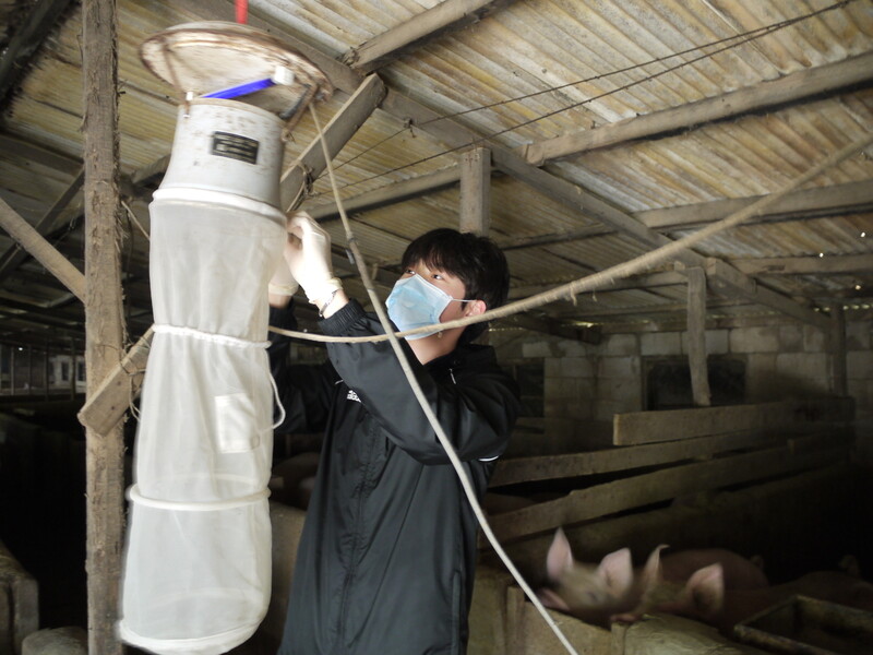 지난 8일 조세훈 고신대 기후변화 매개체 감시거점센터 연구원이 부산시 강서구의 한 돼지농가에 설치된 모기트랩에서 모기를 채집하고 있다.