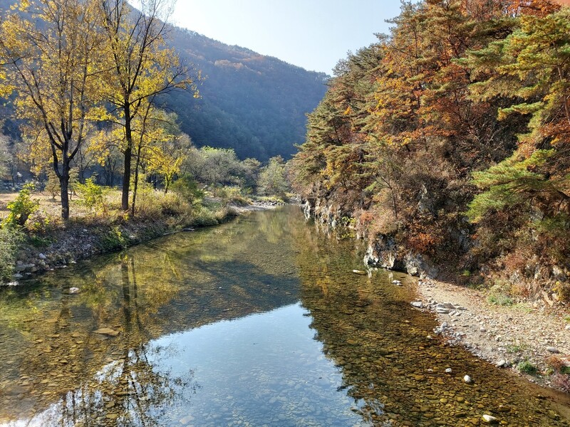 곡동교에서 본 김삿갓 계곡. 김선식 기자