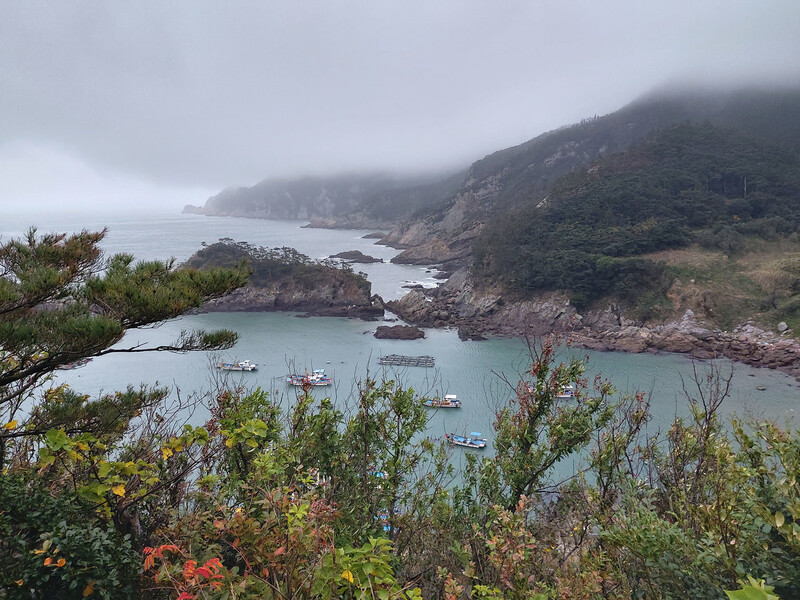 지난 19일 전남 신안군 흑산면 사리 포구. 김선식 기자