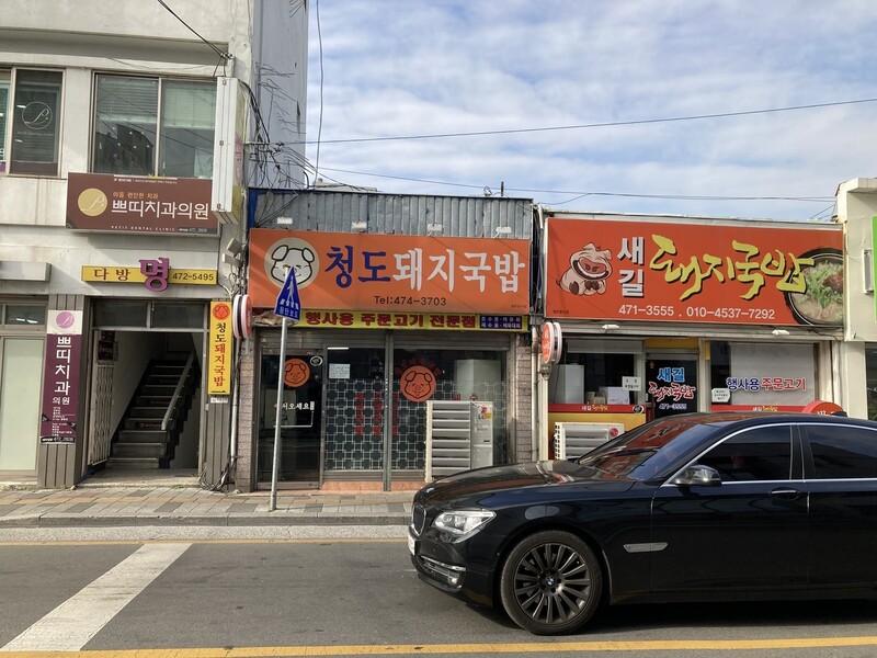 대구 돼지국밥집 간판의 다양한 돼지 캐릭터들. 유선주 객원기자