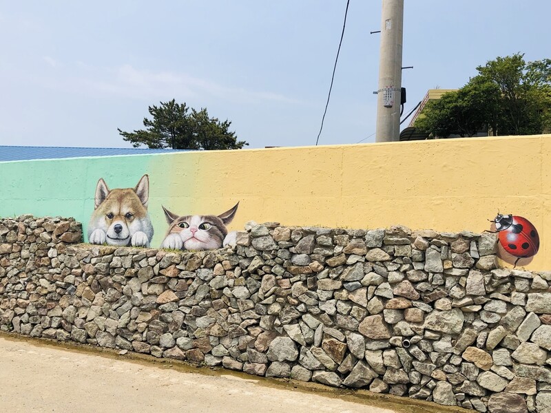 신안 도초도 ‘도초 수국공원’ 돌담을 그대로 살린 벽화. 김지안 작가가 기획했다. 사진 김지안 제공