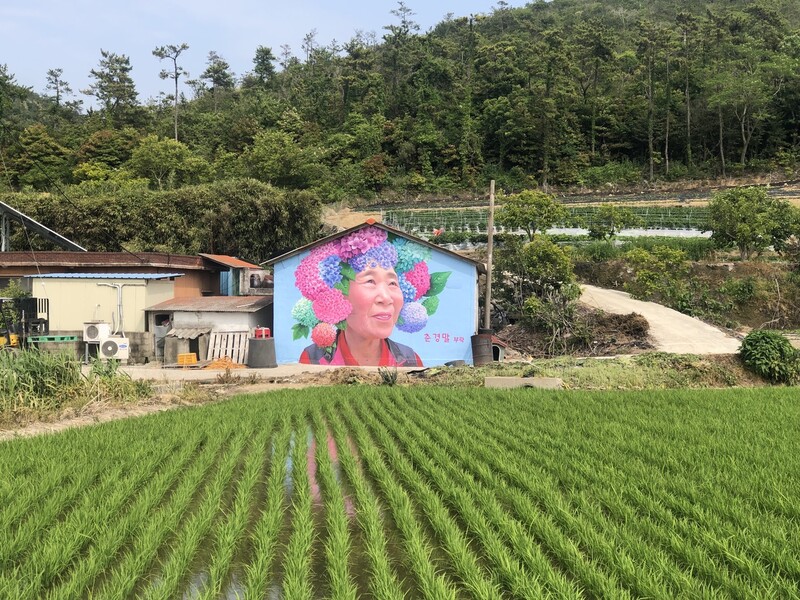 이세돌의 어머니 박양례씨 얼굴 벽화. 사진 김지안 제공