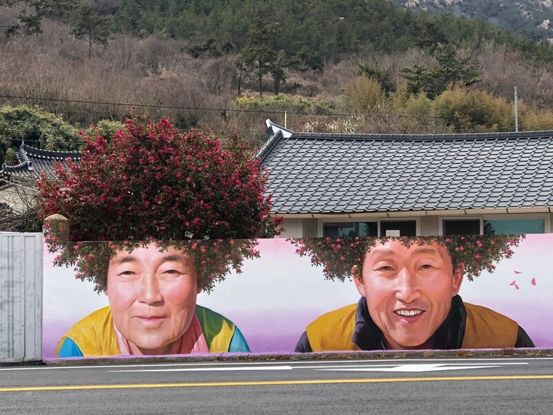 ‘동백 파마머리’ 벽화 담장 안쪽에 동백나무가 한 그루만 있던 당시의 모습. 사진 김지안 제공